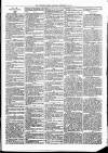 Woodford Times Saturday 28 December 1878 Page 3