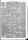 Woodford Times Saturday 28 December 1878 Page 7