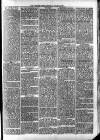 Woodford Times Saturday 04 January 1879 Page 3