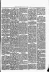 Woodford Times Saturday 29 January 1881 Page 3