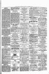 Woodford Times Saturday 26 February 1881 Page 3