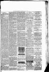 Woodford Times Saturday 12 March 1881 Page 7