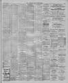 Leytonstone Express and Independent Saturday 14 January 1893 Page 3