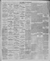 Leytonstone Express and Independent Saturday 21 January 1893 Page 5