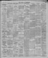 Leytonstone Express and Independent Saturday 01 April 1893 Page 5