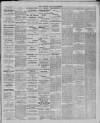 Leytonstone Express and Independent Saturday 10 June 1893 Page 5