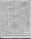 Leytonstone Express and Independent Saturday 13 April 1895 Page 5