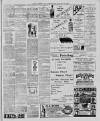 Leytonstone Express and Independent Saturday 12 January 1901 Page 7