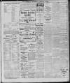 Leytonstone Express and Independent Saturday 11 February 1911 Page 5
