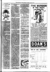 South Devon Weekly Express Thursday 06 May 1909 Page 5