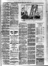 South Devon Weekly Express Friday 07 January 1910 Page 5