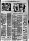 South Devon Weekly Express Friday 13 January 1911 Page 3