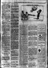 South Devon Weekly Express Friday 20 January 1911 Page 3