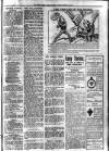 South Devon Weekly Express Friday 03 March 1911 Page 3