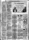 South Devon Weekly Express Friday 10 March 1911 Page 3