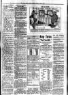 South Devon Weekly Express Friday 07 April 1911 Page 3