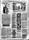 South Devon Weekly Express Friday 03 January 1913 Page 3