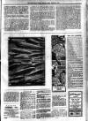 South Devon Weekly Express Friday 28 March 1913 Page 5