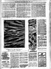 South Devon Weekly Express Friday 04 April 1913 Page 5