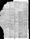 Redcar and Saltburn-by-the-Sea Gazette Saturday 18 January 1896 Page 4