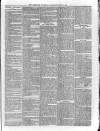 Sheerness Guardian and East Kent Advertiser Saturday 11 June 1864 Page 7