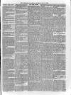 Sheerness Guardian and East Kent Advertiser Saturday 30 July 1864 Page 7