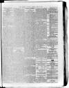 Sheerness Guardian and East Kent Advertiser Saturday 22 April 1865 Page 5