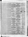 Sheerness Guardian and East Kent Advertiser Saturday 10 June 1865 Page 5