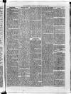 Sheerness Guardian and East Kent Advertiser Saturday 29 July 1865 Page 7