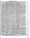 Sheerness Guardian and East Kent Advertiser Saturday 01 April 1871 Page 5