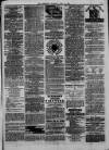 Sheerness Guardian and East Kent Advertiser Saturday 26 June 1875 Page 7