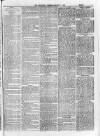 Sheerness Guardian and East Kent Advertiser Saturday 01 January 1876 Page 3