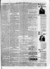 Sheerness Guardian and East Kent Advertiser Saturday 04 March 1876 Page 7