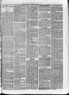 Sheerness Guardian and East Kent Advertiser Saturday 03 June 1876 Page 3