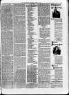 Sheerness Guardian and East Kent Advertiser Saturday 03 June 1876 Page 7