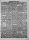 Sheerness Guardian and East Kent Advertiser Saturday 18 January 1879 Page 5