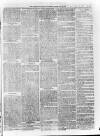 Sheerness Guardian and East Kent Advertiser Saturday 01 February 1879 Page 3