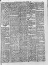 Sheerness Guardian and East Kent Advertiser Saturday 01 November 1879 Page 5