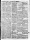 Sheerness Guardian and East Kent Advertiser Saturday 28 February 1880 Page 3