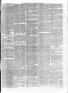 Sheerness Guardian and East Kent Advertiser Saturday 31 July 1880 Page 7