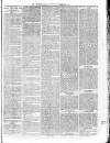 Sheerness Guardian and East Kent Advertiser Saturday 27 November 1880 Page 3