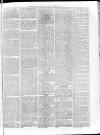 Sheerness Guardian and East Kent Advertiser Saturday 27 October 1883 Page 7