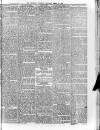 Sheerness Guardian and East Kent Advertiser Saturday 28 March 1885 Page 5