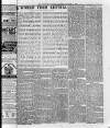Sheerness Guardian and East Kent Advertiser Saturday 06 November 1886 Page 3
