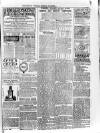 Sheerness Guardian and East Kent Advertiser Saturday 08 November 1890 Page 3