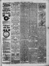 Sheerness Guardian and East Kent Advertiser Saturday 17 January 1891 Page 3