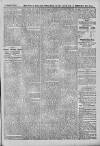 Sheerness Guardian and East Kent Advertiser Saturday 24 March 1900 Page 5