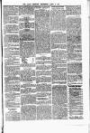 Alloa Circular Wednesday 09 April 1879 Page 3