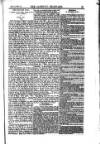 Weekly Register and Catholic Standard Saturday 24 November 1849 Page 15
