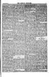 Weekly Register and Catholic Standard Saturday 12 January 1850 Page 7